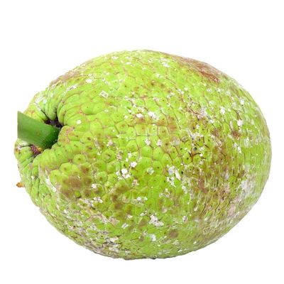 Breadfruit