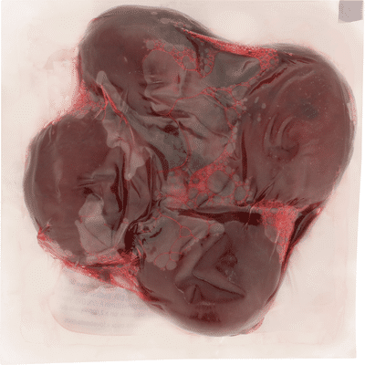 Love Beets Organic Cooked Beets