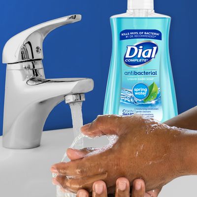 Dial Antibacterial Liquid Hand Soap, Spring Water