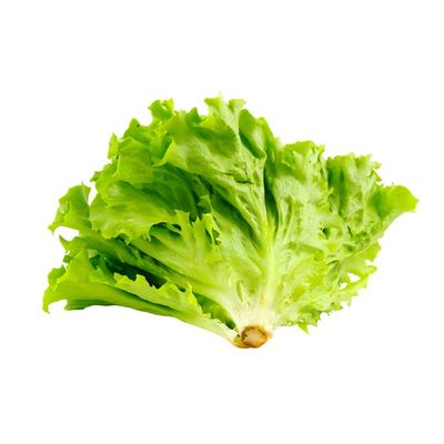 Lettuce