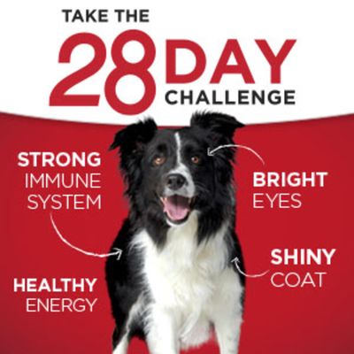 Purina ONE Natural Dry Dog Food, SmartBlend Small Bites Beef & Rice Formula
