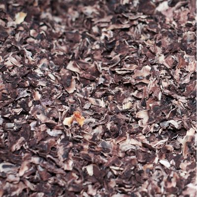 Organic Refried Black Beans