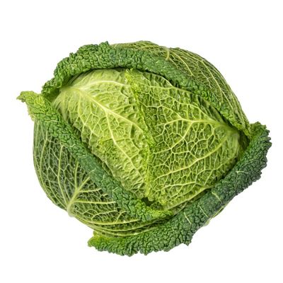 Cabbage