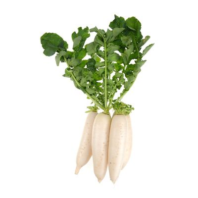 Organic Daikon Radish Bunch