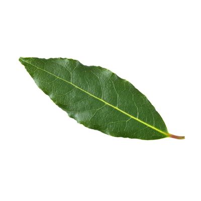 Bay Leaves