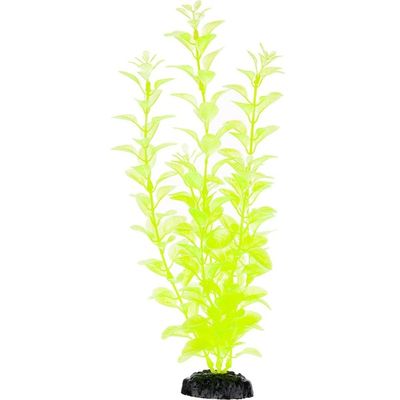 Petco Green Background Aquarium Plant