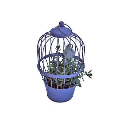 12" Succulent Bird Cage