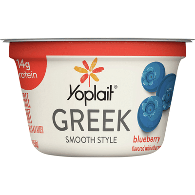 Yoplait Yogurt Fat Free Blueberry Greek Smooth Style 5 3 Oz Instacart