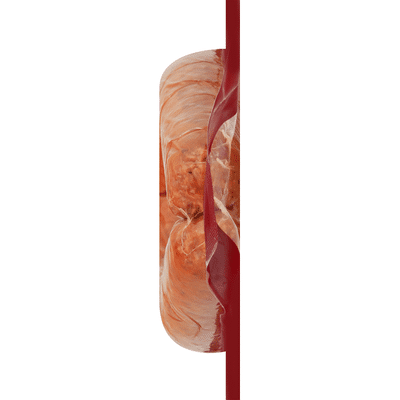 Johnsonville Andouille Smoked Sausage