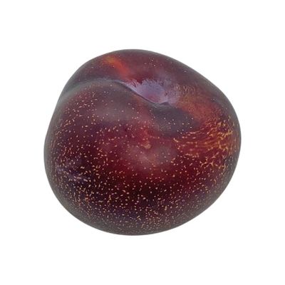 Black Plum