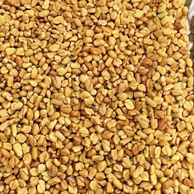 Organic Fenugreek Seeds