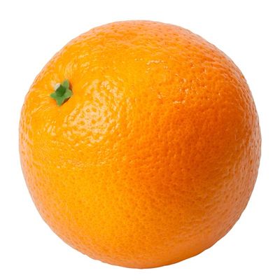 Hamlin Orange