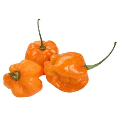 Orange Habanero Pepper