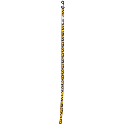 Alliance Products Leash, 4 Feet