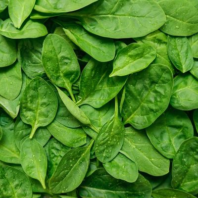 Baby Spinach