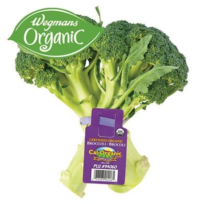 Organic Broccoli