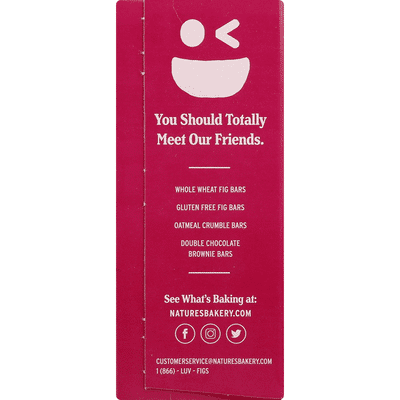 Nature's Bakery Whole Wheat Raspberry Fig Bar