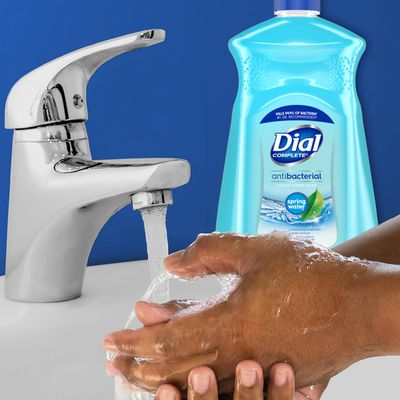 dial liquid hand soap refill spring water