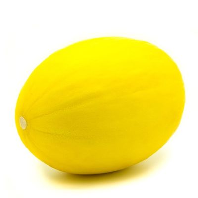 Organic Canary Melon