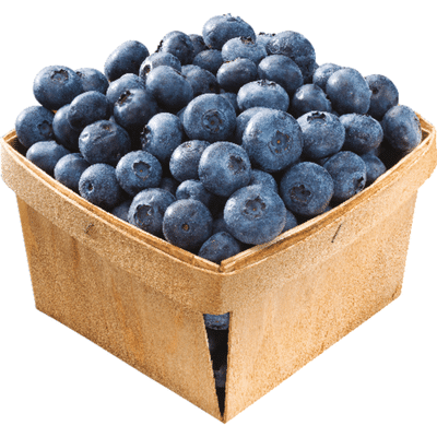 Organic Blueberries Package