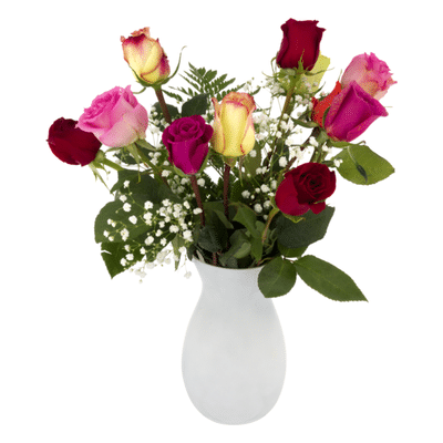 Ahold Rainbow Roses