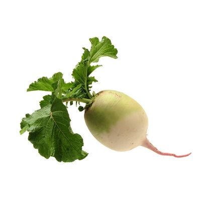 Organic Watermelon Radish