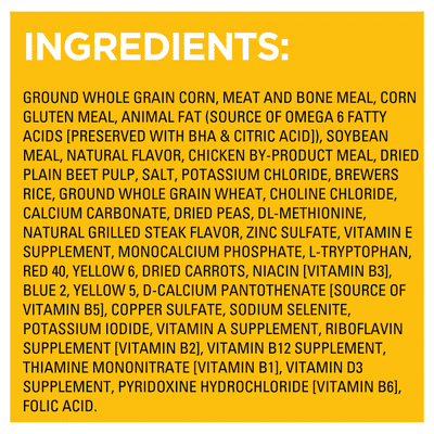 Pedigree Food for Adult Dogs, Grilled Steak & Vegetable Flavor, Complete Nutrition, Bonus Size