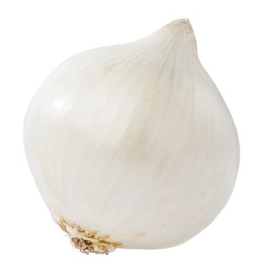 Organic White Onion