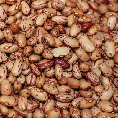 Beans