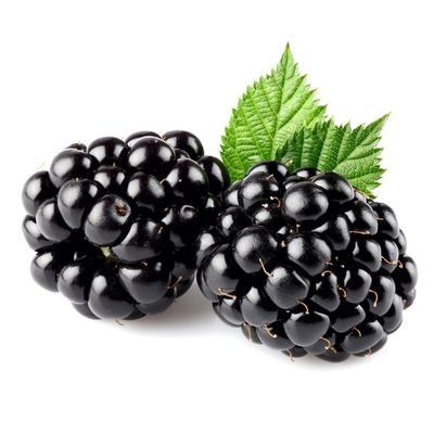 Organic Blackberries Package