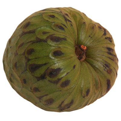 Cherimoya