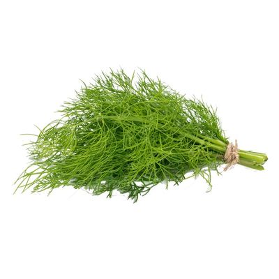 Maristone Farms C.O. Baby Dill