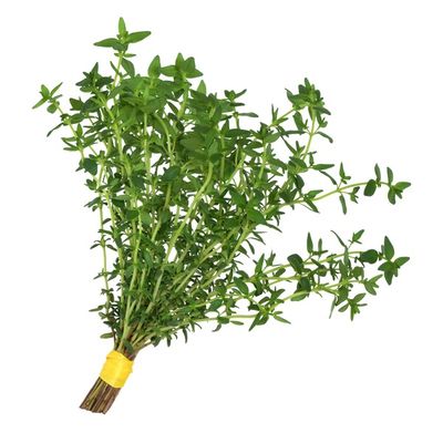4" Thyme Plant