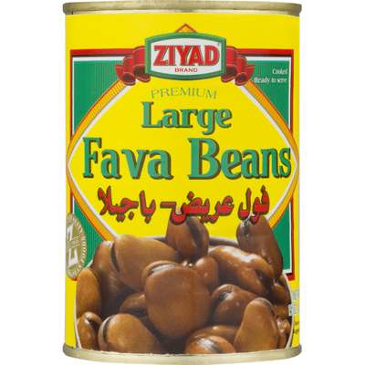 Ziyad Fava Beans Large