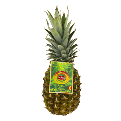 Pineapple