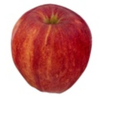 Royal Gala Apple