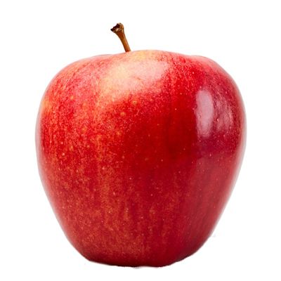 Gala Apple