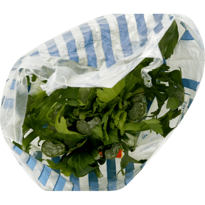 Foxy's Celery