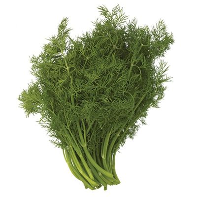Dill