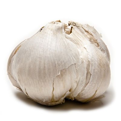 Tagd Elephant Garlic Bulbs