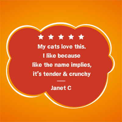 Purina Friskies Dry Cat Food, Tender & Crunchy Combo