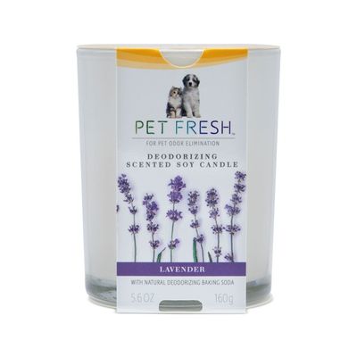Arm & Hammer Lavender Deodorizing Soy Candle