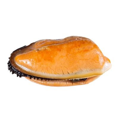 Cooked Mussel Meat