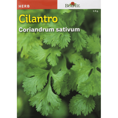 Burpee Cilantro