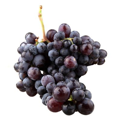 Black Muscadine Grapes