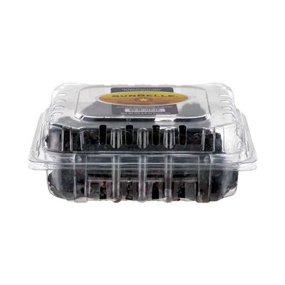 Sunbelle Blackberries