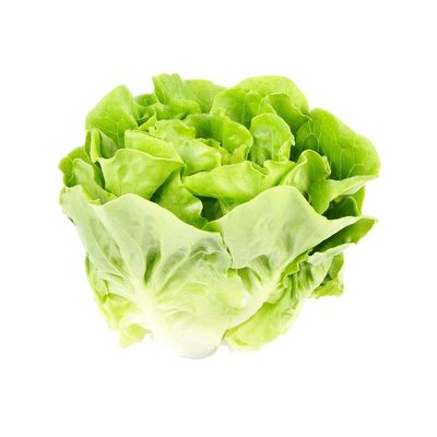 Organic Lettuce
