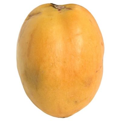 Pepino Melon