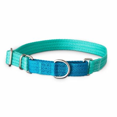 Good2 Go Tl & Black Small 2 Tone Martingale Dog Collar
