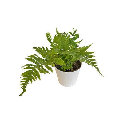 4" Premium Foliage